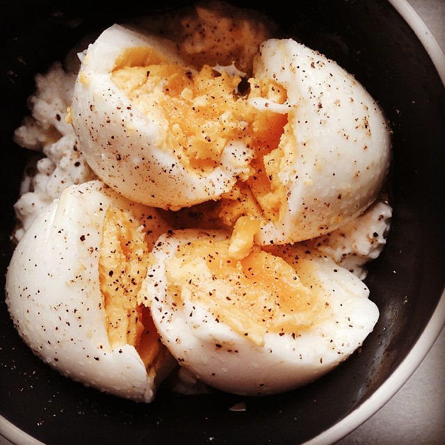 11417494_840035432757357_2063762801_n